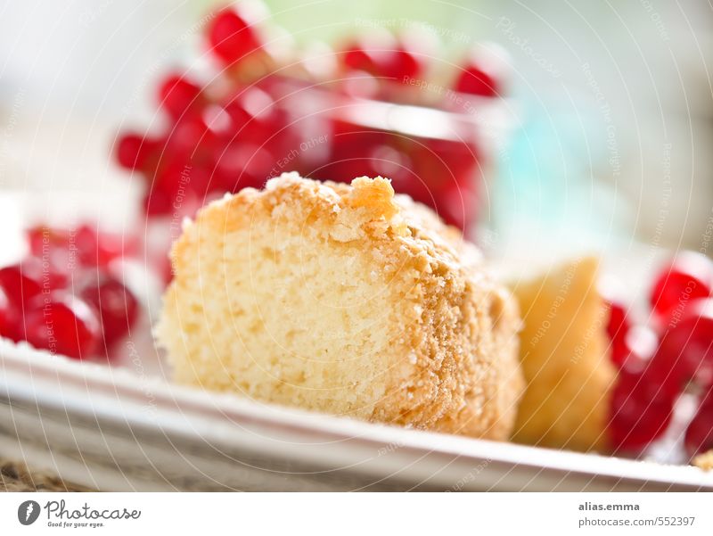 chick Cake Gugelhupf Dessert Berries Redcurrant Sweet Fruit Eating Baked goods Delicious Vitamin Fruity Sand cake Part Plate Baking Shallow depth of field