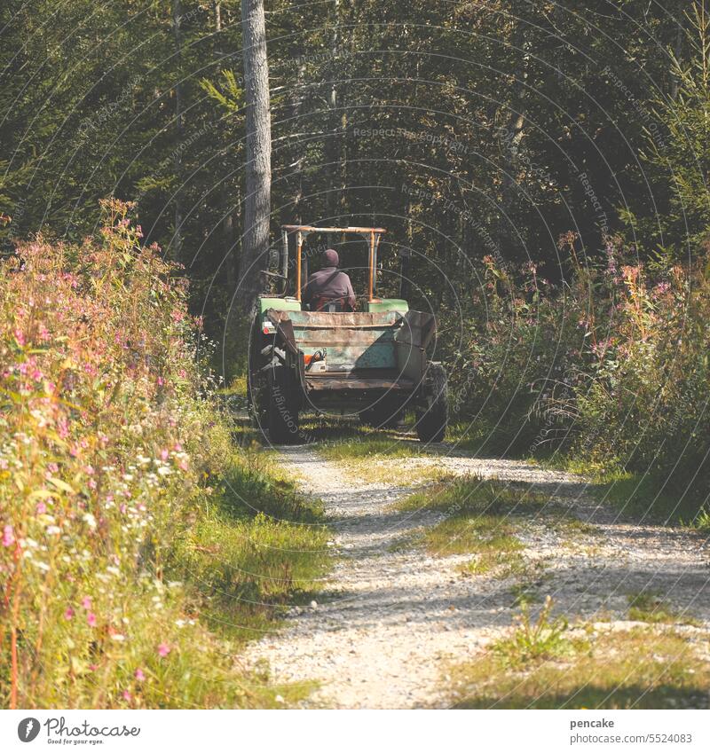 pretty crazy | power rolls in the calm Tractor off Forest Edge of the forest Field work Force tranquillity Agriculture Nature Machinery Vehicle Farm