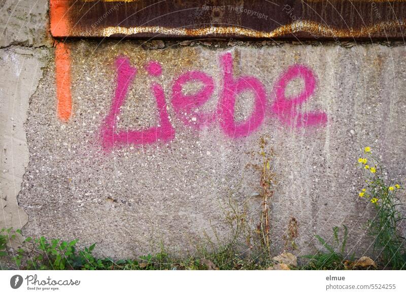 Love is written in pink on an old wall Graffiti token of love Pink Communication Declaration of love Emotions Display of affection Symbols and metaphors