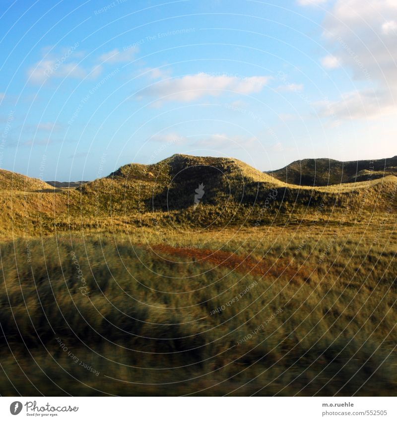 something red Lifestyle Vacation & Travel Tourism Trip Mountain Environment Nature Landscape Sky Clouds Autumn Plant Grass Bushes Moss Hill Coast North Sea