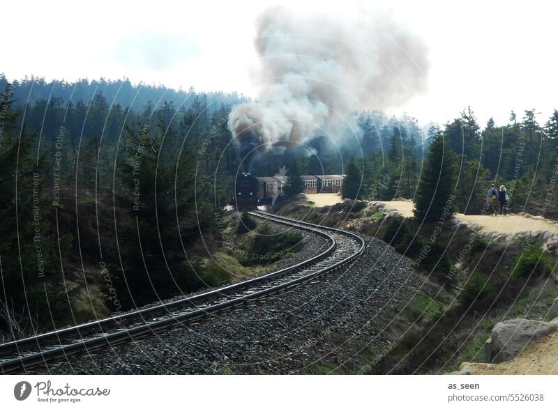 Harz narrow gauge railroad Railroad Railroad tracks Transport Speed Vacation & Travel Train travel Rail transport Means of transport Traffic infrastructure