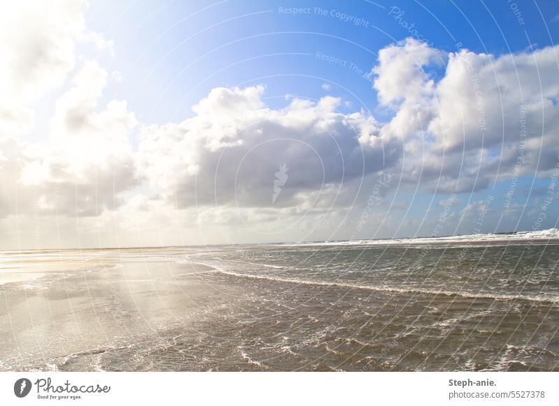 summer sea Ocean seascape Seashore coast coastal landscape North Sea North Sea coast Clouds Summer Summer vacation Waves Swell High tide Low tide Beach sunshine