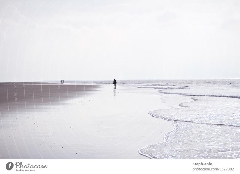 Lonely walkers by the sea Beach Ocean Seashore coast coastal landscape Waves strollers Human being Silhouette Sand cloudy Horizon Vacation & Travel Landscape