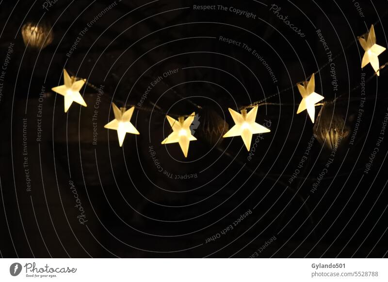 Glowing fairy lights "Stars" against black background stars Christmas star Fairy lights Garden golden Night Christmas & Advent Light Bright Design Black Dark