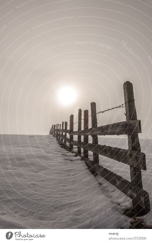 In front of or behind the fence? Sky Autumn Winter Fog Snow Fence Wooden fence Border Illuminate Cold Brown Colour photo Subdued colour Exterior shot Deserted