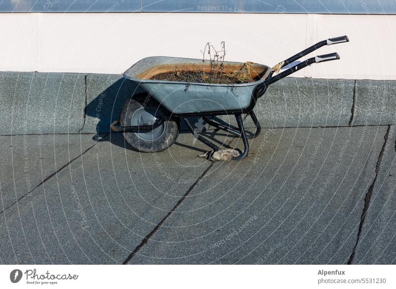 Dirt cart Wheelbarrow Exterior shot Colour photo Roof Work and employment Garden Deserted Construction site Plant Gardening Craft (trade) Workplace Craftsperson