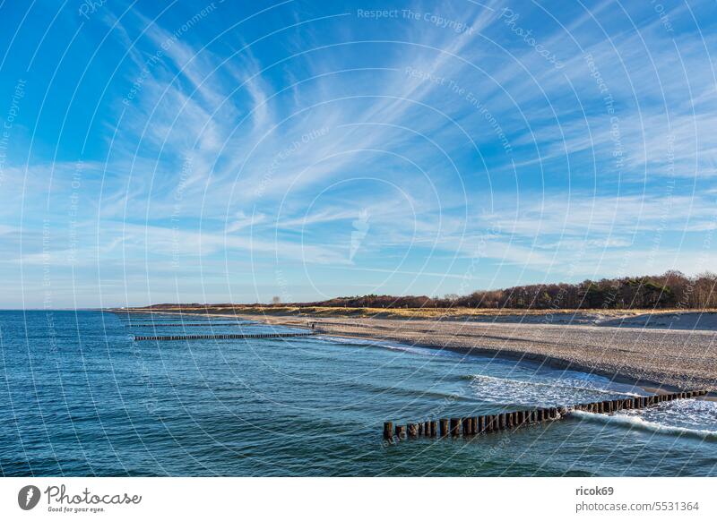 Beach with groynes near Graal-Müritz coast Baltic Sea graal müritz Baltic coast Ocean Break water duene Marram grass Waves Water Sky Clouds Blue