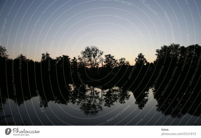 Evening by the river River Silhouette Tree trees reflection Water tranquillity meditative Nature romantic Landscape Calm Surface of water Relaxation Environment