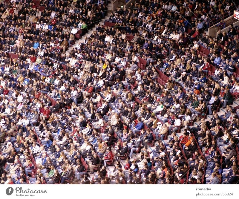 crowding Audience Human being Crowd of people Sit Sports