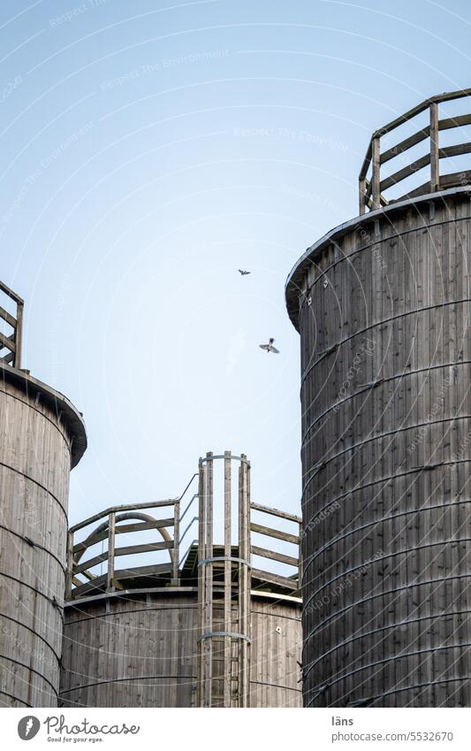 Wide land l road salt silo Silo Wooden silo birds Storehouse Colour photo Manmade structures