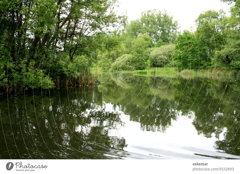 Spreewald river riverbank water nature buzzer scenics outdoors landscape tree lake blue reflection beauty in nature copy-space relaxation flowing water green