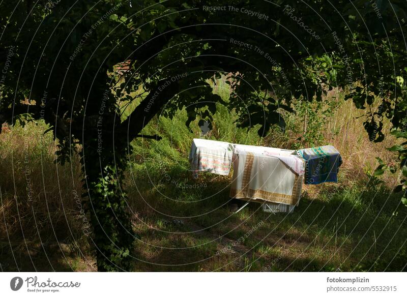 Laundry rack in the garden Cotheshorse Living or residing Washing clothesline Dry Household Clean Hang Photos of everyday life Washing day Housekeeping Fresh