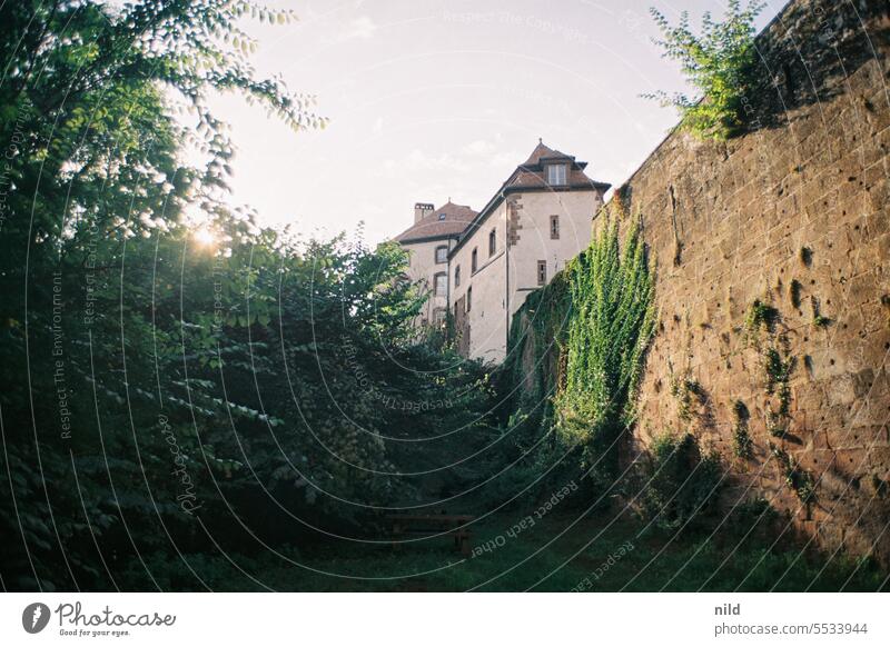 Alsace - La Petite Pierre - View of the castle France Historic Highlands Nature Calm Light Idyll Colour photo Exterior shot Moody Analogue photo Kodak