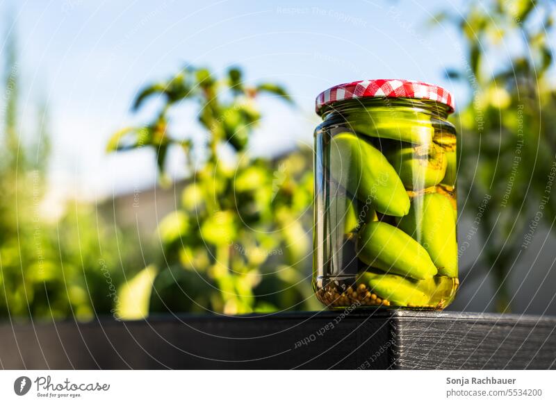 Pickled green peppers in a canning jar Pepper Preserving jar pickled Vinegar Vegetable Self-made Food Canned Ingredients Fresh Conserve Organic Green