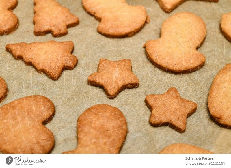 baked Christmas cookies on a baking sheet with baking paper Baking Christmas & Advent Cookie Christmas biscuit cut out cookies cookie cutter cookie dough