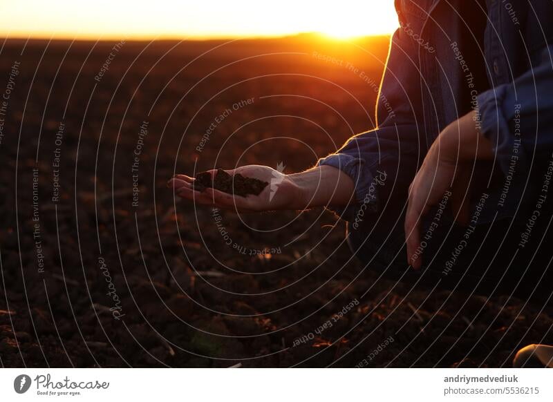 Male farmer's hand holds a handful of dry ground and checks soil fertility and quality before sowing crops on plowed field at sunset. Cultivated land. Concept of organic agriculture and agribusiness