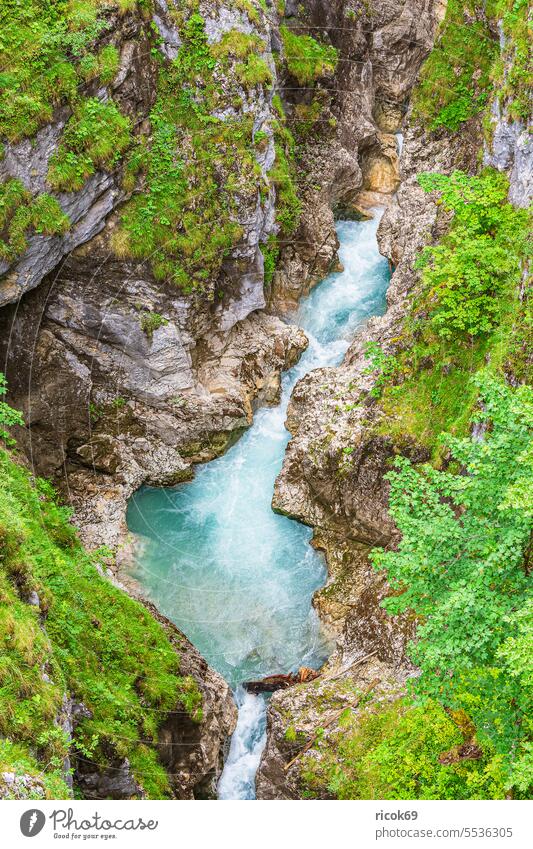 View into the Leutasch gorge near Mittenwald in Bavaria clammy Leutaschklamm Alps mountain Wettersteingebirge River Water Rock Landscape Nature Tree