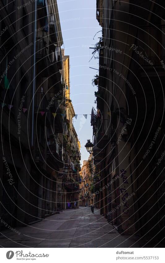 Morning alley in Barri Gòtic, Barcelona, Spain Old town Dark Contrast High-key Alley romance of the streets Street Exterior shot Town Facade Deserted