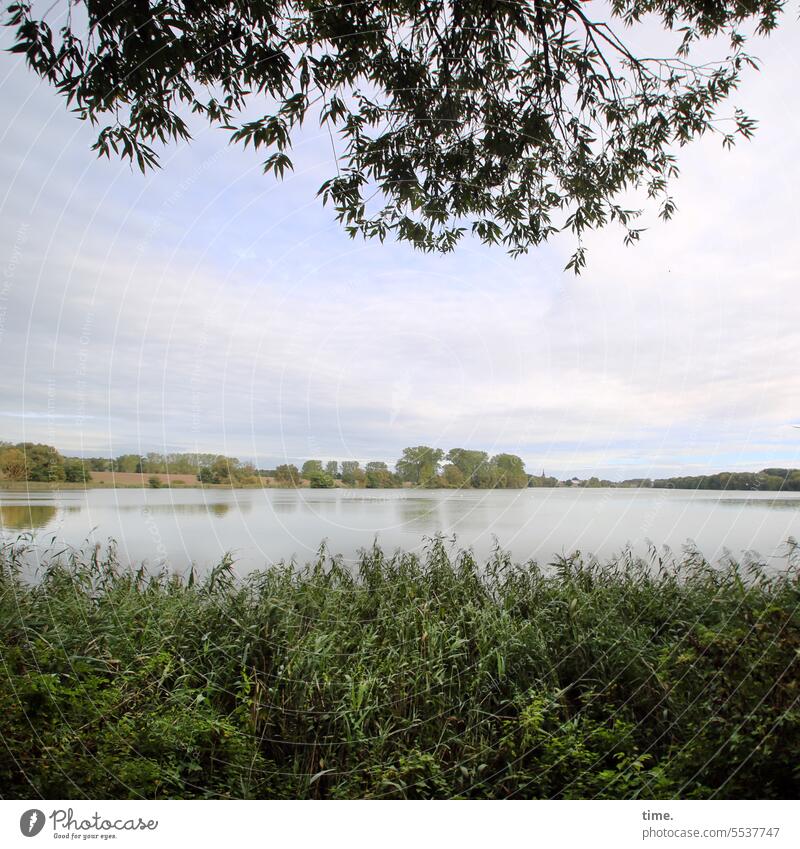 Lake with embankment in front of horizon under overhanging branches in overcast weather Horizon Sky Escarpment Clouds Nature Landscape Habitat ecology