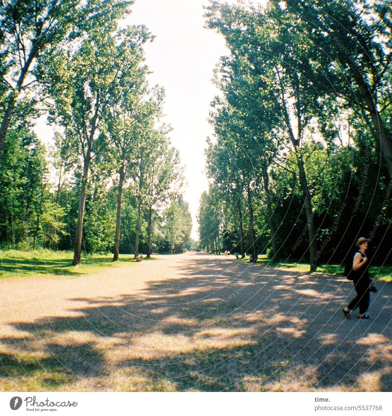 Park avenue trees Woman sunny Shadow off Escape Perspective Beautiful weather Nature Environment Landscape Summer Visitor In transit Avenue Sunlight