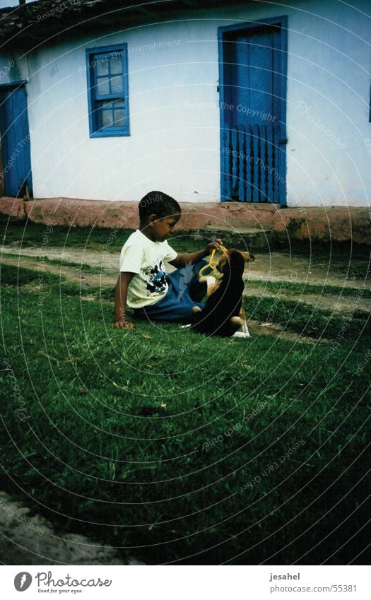 brazil_043 Child Dog White Brown child with dog Colour green Blue