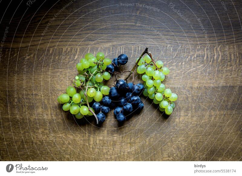 Red and white grapes on dark table top red grapes Bunch of grapes Still Life Fruit Fresh fruits Mature Bird's-eye view