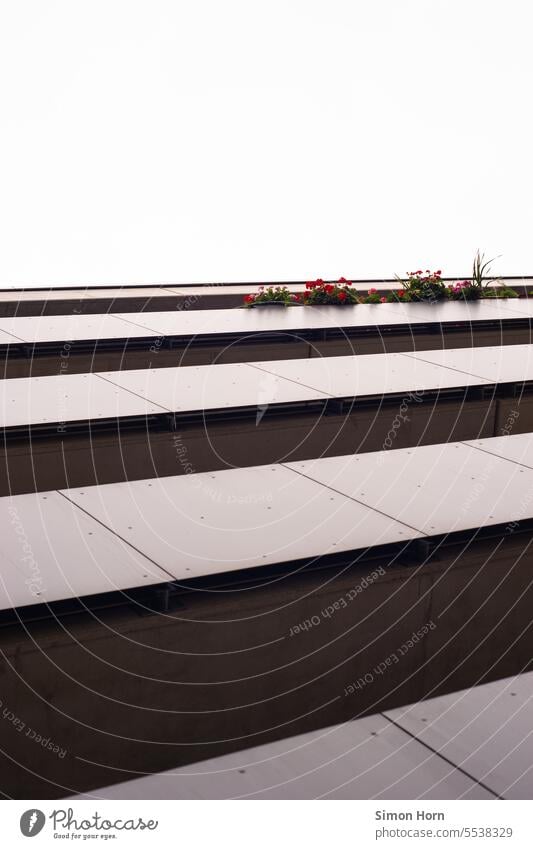 Balcony facade with sterile surface and flowers Balconies Facade upstairs House front Bright spot Floors Architecture Modern urban High-rise Gloomy Concrete