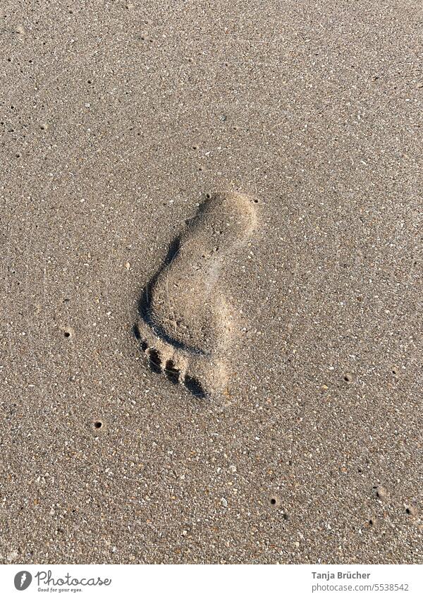 Footprint in the sand footprint Footprints in the sand Barefoot barefoot on beach on the beach Sand Nature Beach trace on one's own by oneself Lonely Loneliness