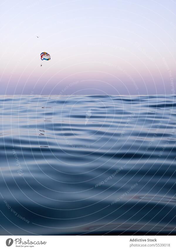 People parachuting during sunset above calm ocean flight parachute coast high sport sundown nature adventure extreme fly people ripple leisure seascape outdoors