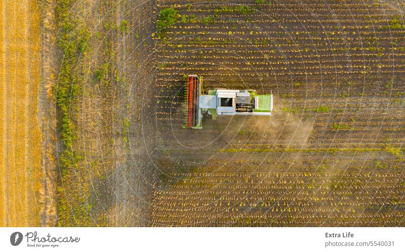 Above view on combine, harvester machine, harvest ripe sunflower Aerial Agriculture Cereal Combine Country Crop Cultivated Cultivation Cut Dust Dusty Dry Farm