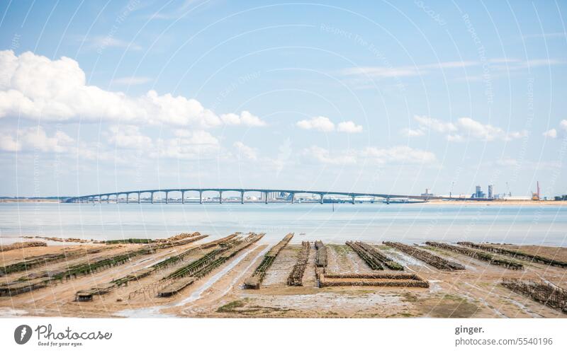 On the Ile de Re - view of the bridge to La Rochelle île de ré France Tourism Water Sky Exterior shot Colour photo Vacation & Travel Summer Ocean coast Nature