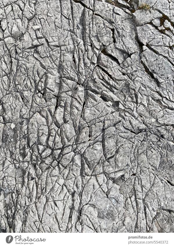 Rock structure on the Nebelhorn in the Bavarian Oberallgäu, which looks like the skin of an old elephant. / Photo: Alexander Hauk rock stone Nature Pattern hike