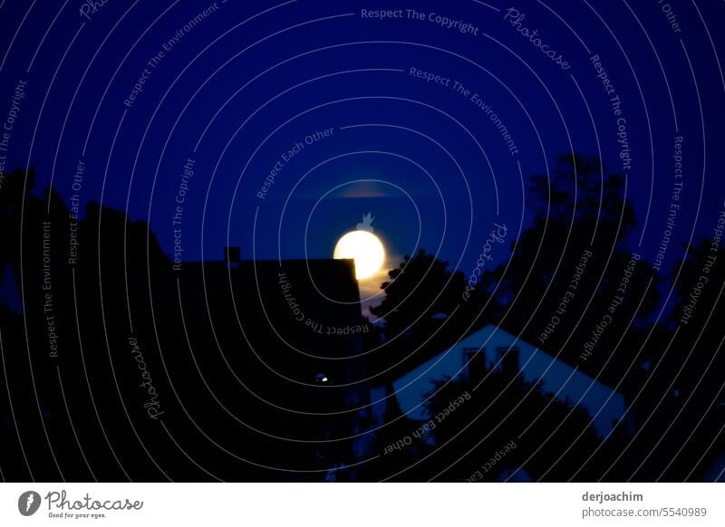 The full moon has risen. Moonrise Exterior shot Colour photo Nature Dark Full  moon Night sky Deserted Light Moody Illuminate Sky Light (Natural Phenomenon)