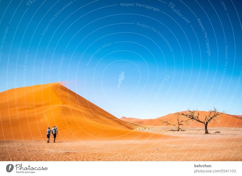 ascent aridity ardor Warmth magical Gorgeous Sky Wind Dune 45 Sandstorm Sossusvlei Namibia Far-off places Africa Desert dune 45 Sesriem Wanderlust travel