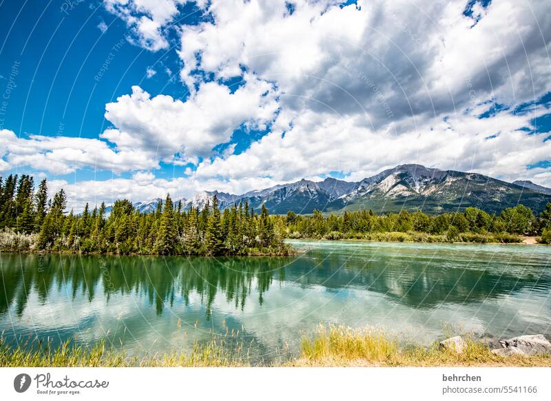 mirror stories Bow River canmore North America Rocky Mountains Colour photo Canada Landscape Nature Exterior shot Sky Alberta Fantastic especially Water Forest