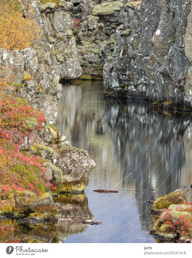 Silent water in Pingveilir National Park in Iceland Idyll Autumn autumn mood mountain Hiding place Lake Landscape Exterior shot Colour photo Nature Autumnal