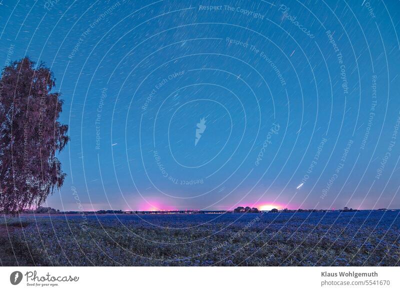 Autumn night sky, central is the constellation Perseus with the double star cluster Chi& Ha, on the right horizon Jupiter.  Blooming phacelia plants in the foreground and on the horizon the lights of wind turbines.