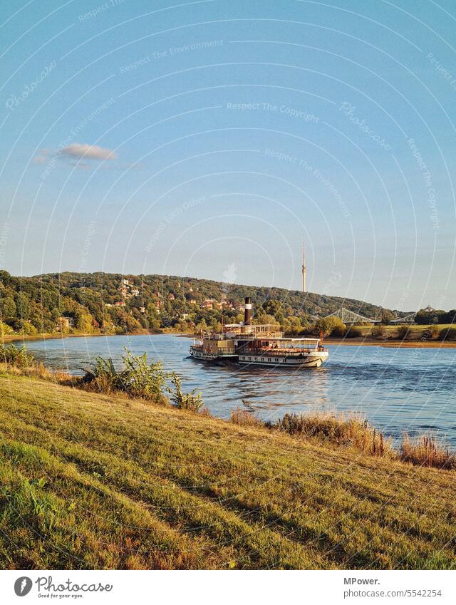 elbdampfer Elbe Dresden Steamer Television tower Elbe bank River River bank Navigation Summer cloud Exterior shot Colour photo Water Saxony Town