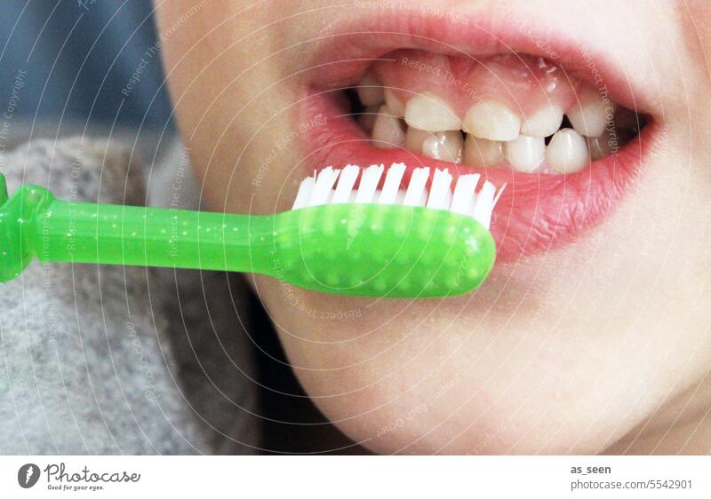 brush one's teeth Teeth Toothbrush Milk teeth Child 6 to 7 years 8 - 13 years Green Boy (child) Girl Dentist hygiene Colour photo Infancy Dentistry Foresight