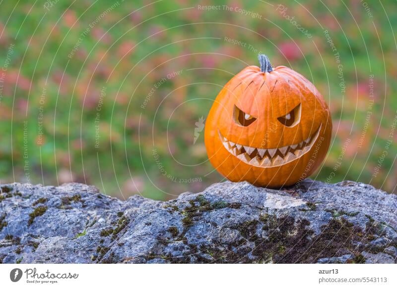 Scary smiling halloween pumpkin with nasty face on a stone. Big scary smiling halloween pumpkin with demon smile sitting alone in twilight nature. Spooky nightmare mystery scene at ocober 31st