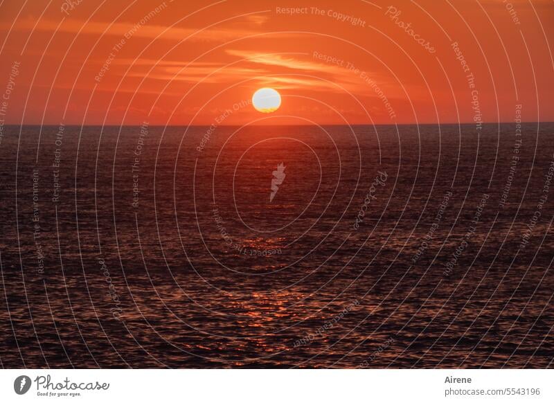 burning sun Evening fiery red Sunset Ocean cauterizing Fiery Horizon Water Center point feeling of happiness Glittering humility Sea level Elements