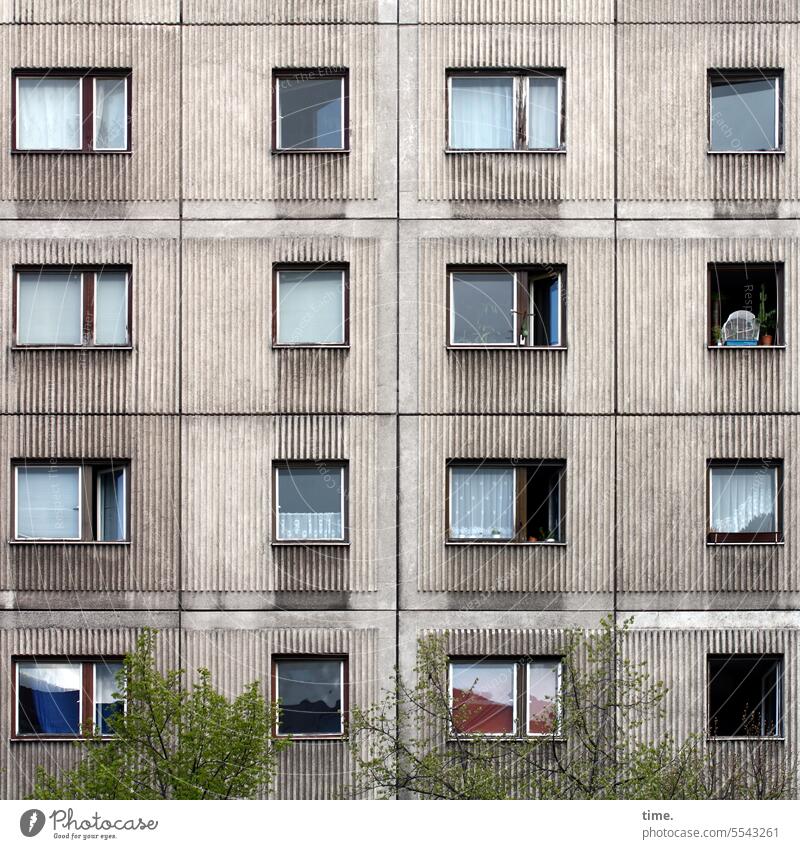 Parallel world | same & different House (Residential Structure) Window dwell Rental apartments Similar Equal Facade trees Gray Consistent Manmade structures