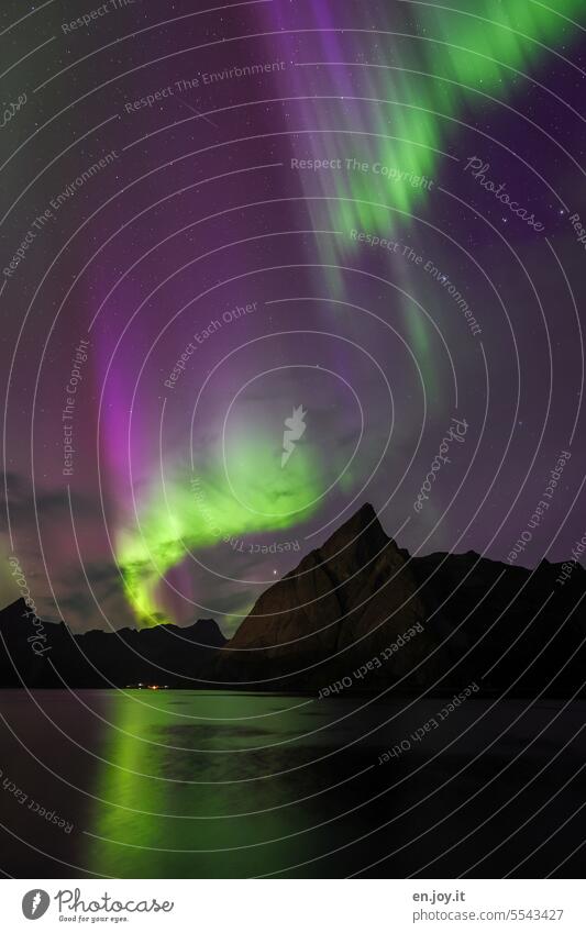 Aurora over Reine northern lights Aurora Borealis aurora borealis Lofotes Norway Natural phenomenon Reinefjorden Night Dark Phenomenon Night shot Illuminate