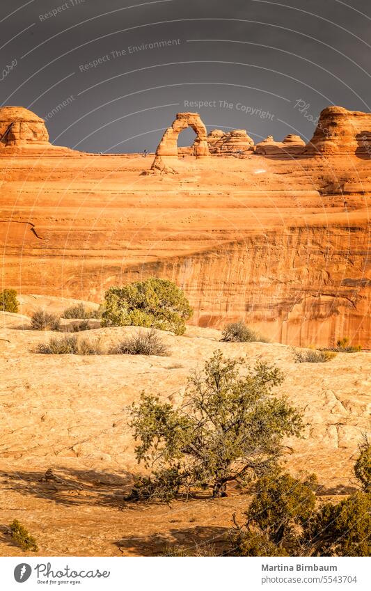 The delicate Arch in the Arches  National Park, Utah USA arches national park delicate arch landscape scenic desert moab walk colorful travel erosion sunset