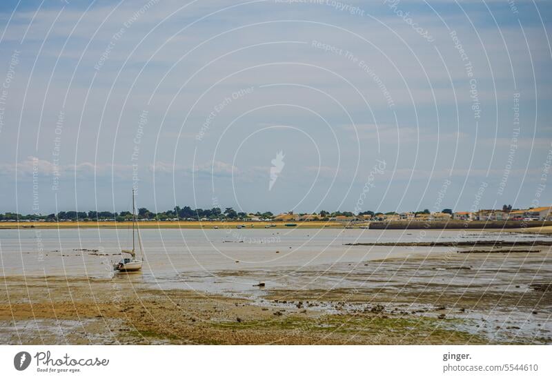 Excursion to the Ile de Re île de ré Trip Destination Vacation & Travel Colour photo Exterior shot France Tourism Sky Landscape Ocean coast Nature Day Summer