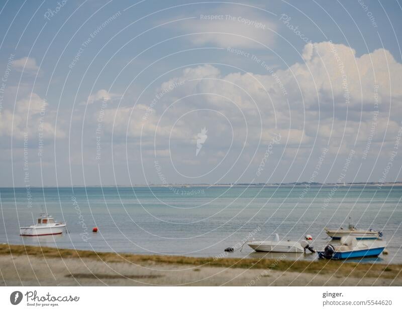 Trip to Île de Ré (3) Environment Island Copy Space top Atlantic Ocean Calm Clouds Far-off places Horizon Deserted Blue Beautiful weather Summer vacation