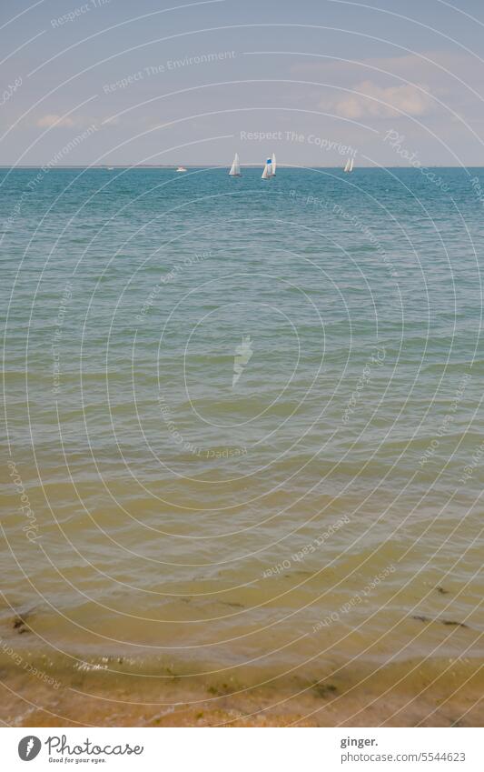 By the sea Ocean at sea Atlantic Ocean sailing ships Sail Lake Water Watercraft Sky Sailboat Sailing Sailing ship Vacation & Travel Navigation Summer Freedom