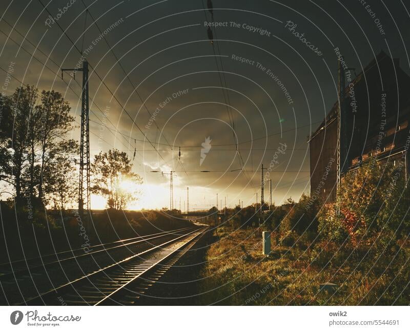 track 2 Railroad tracks railway area rails Cables Escarpment Bushes mast Back-light Sunset Sunlight evening mood Brilliant Illuminate Evening Sunbeam Shadow