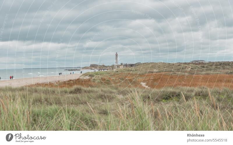 Lighthouse on Skagen beach lighthouse coast Water Beach Sky Sand North Sea Landscape Tourism Vacation & Travel Nature Ocean Clouds Exterior shot North Sea coast