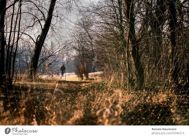 Man riding bike, with his dog, through autumn forest Forest Autumn trees Nature Landscape Exterior shot Calm Relaxation To go for a walk Human being Dog